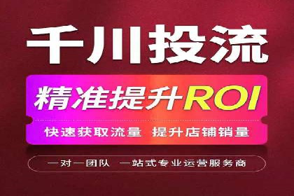 竞价推广策略：某电商平台的成功之路